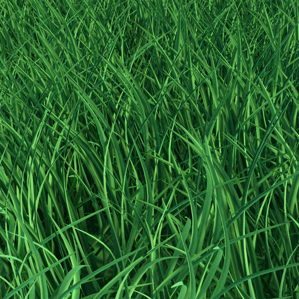 Grass - Cycles  preview image 1